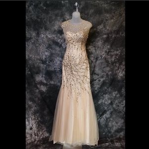 Vienna Prom - Champagne Gown - Size 2